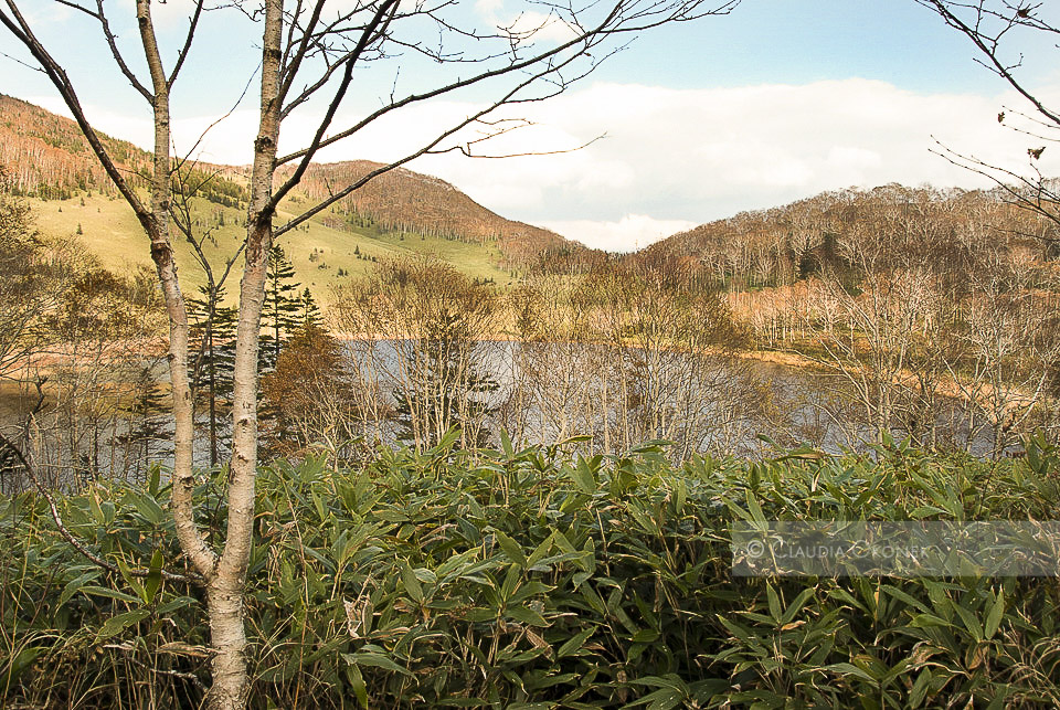 Shinonome lake, am Nachmittag | Im unteren Bereich der umgebenden Berge wächst der Bambus und verliert sich an unserer Seite in mittlerer Höhe. | 