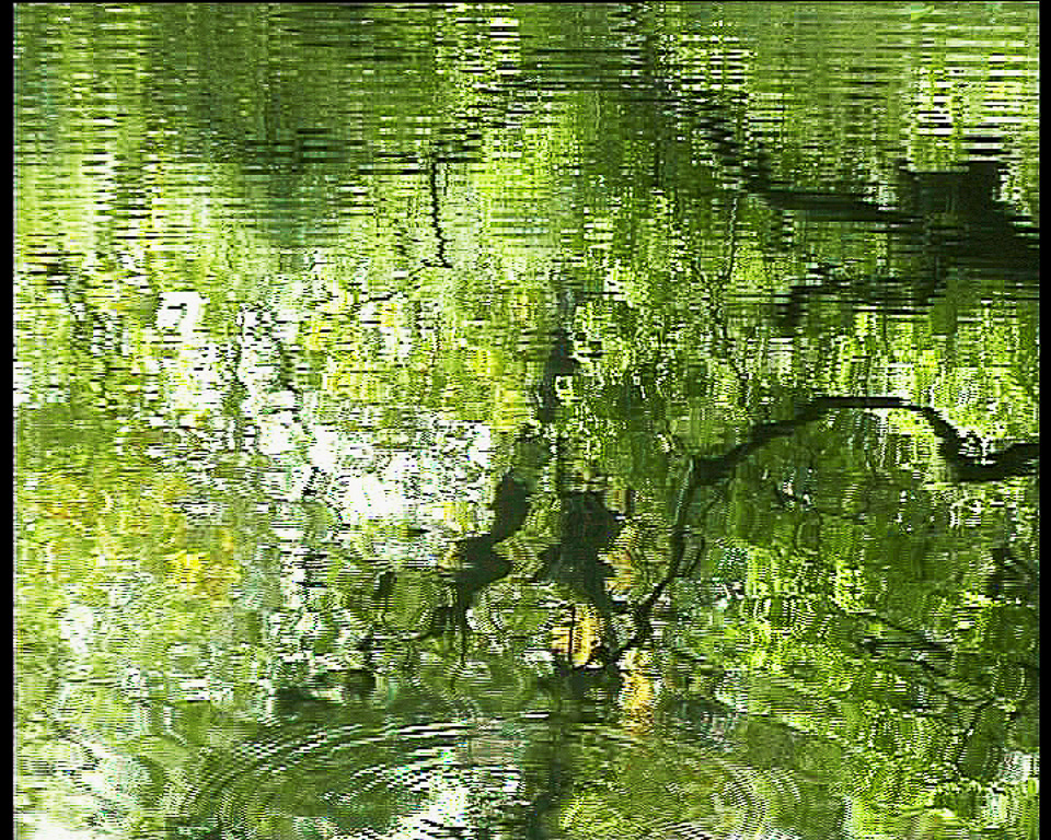 Grüne Welle, Videostill | Zwei- oder dreidimensional, die Wellen des Wassers strukturieren das Bild. | 