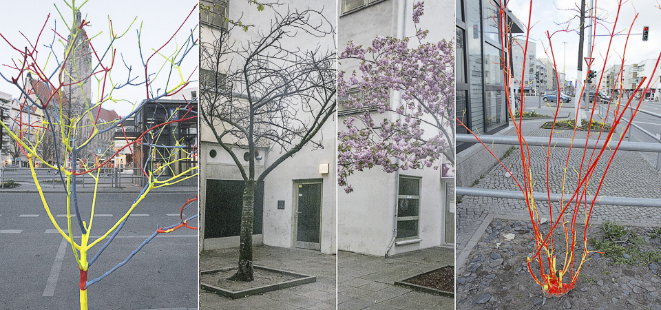 Bäume sterben langsam | Ein Projekt zur Gefährdung der Bäume in Berlin. | Auf einer Distanz von 800m zwischen Krumme Straße und Schloßstrasse im Bezirk Charlottenburg gibt es mehr als 51 leere Baumstandorte.
