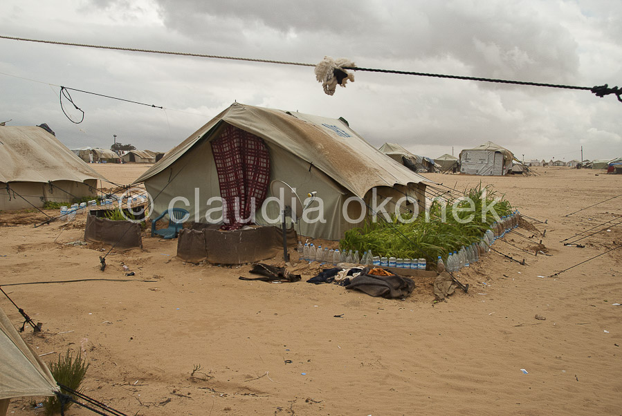 Zelt mit Garten | Choucha Camp. In diesem Zelt leben Flüchtlingen seit März 2011. Es hat Sandsturm und Überschwemmung gut überstanden.  |  - Refugees living in this tent since 8 month. It has survived sand storms and flooding well.