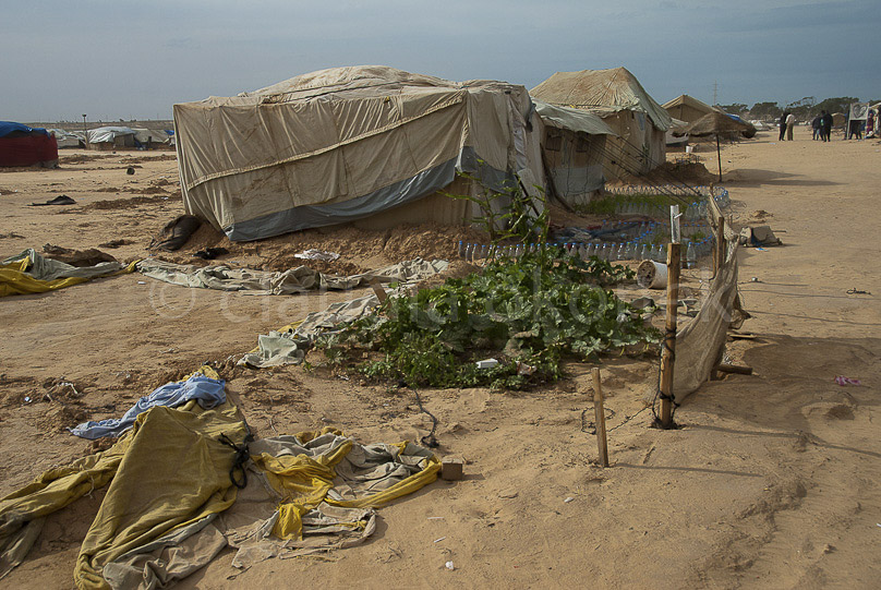 Zelt nach Überschwemmung | Camp Choucha  |  Regenfluten und Sandsturm setzten grosse Teile des Camps Choucha unter Wasser, zerstörte Zelte und die kleinen Gärten.