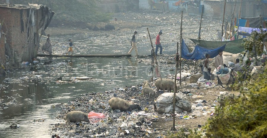 Der Fluss aus Müll | INA Colony. Am Ufer eines Flusses mit Plastikabfällen sitzen Bewohner und sammeln Plastikmüll, Schweine wühlen im Ufermatsch.  |  Müllsammler gehen ihrer Arbeit nach.
